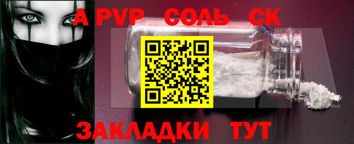 Альфа ПВП СК Липецк