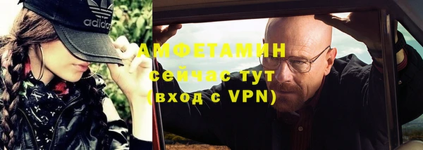 прущие грибы Абаза