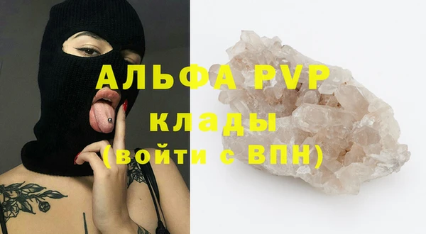прущие грибы Абаза