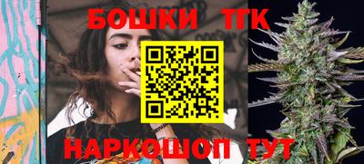 крисы Новодвинск