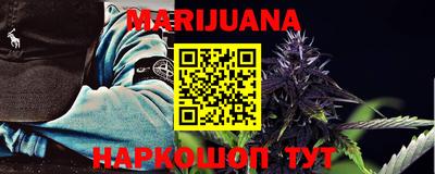 крисы Новодвинск