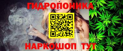 крисы Новодвинск