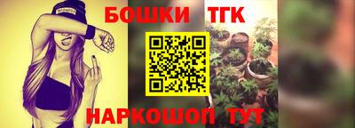 крисы Новодвинск