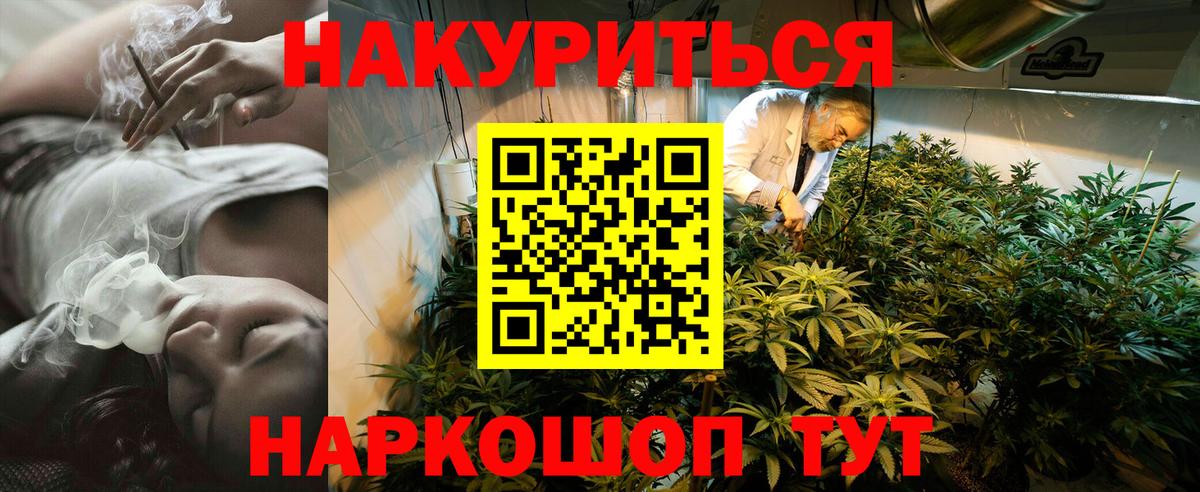 Бошки Шишки планчик Липецк